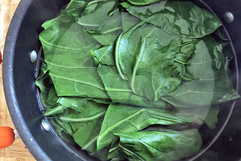 Collard greens being blanched in a nonstick pan of hot water with steam rising from it, on a light brown wood surface.