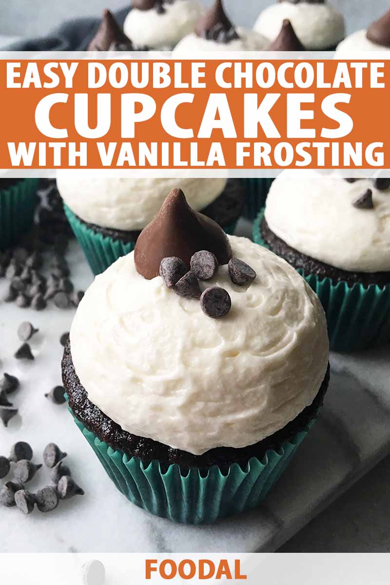 Vertical close-up image of chocolate vanilla cupcakes with blue liners, with text on the top and bottom of the image.