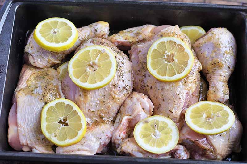 Horizontal image of raw poultry pieces marinated and topped with lemon slices.