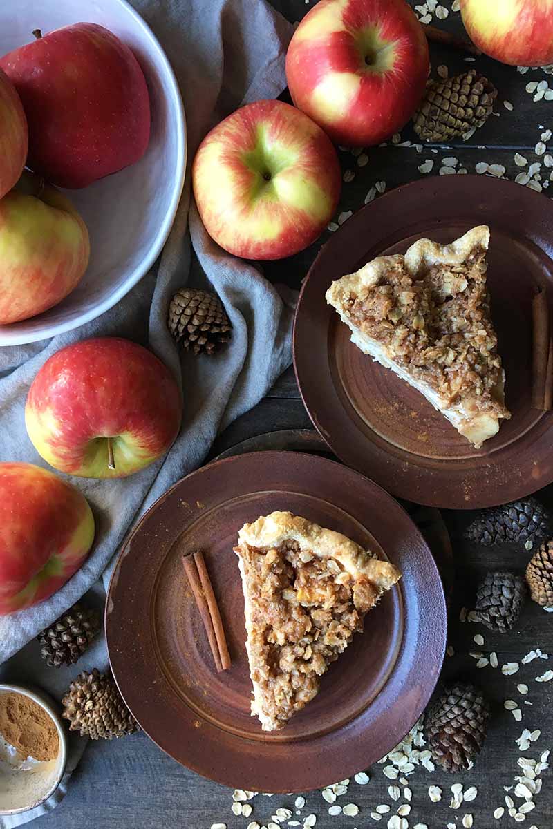 Vertical top-down image of two pies on two brown plates next to apples, oats, pine cones, and cinnamon sticks.