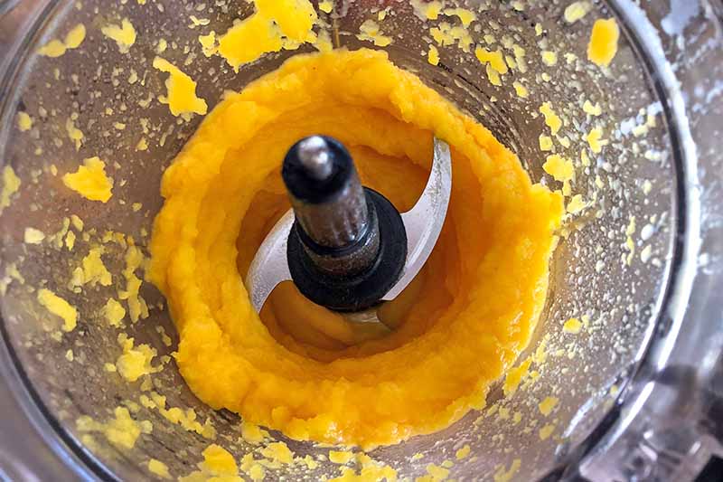 Overhead close-up image of pumpkin puree in a food processor with black blade housing and a clear plastic canister.