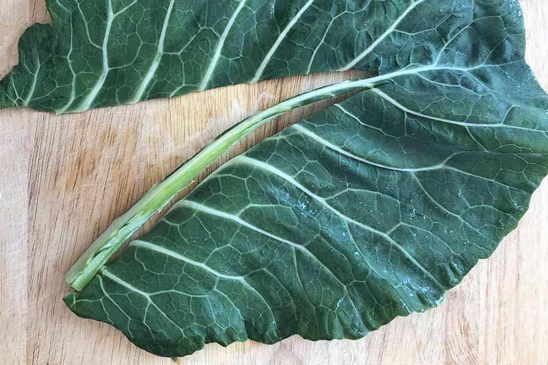 Overhead closely cropped horizontal image of a single collard leaf laid out flat on a wooden cutting board, with the stem sliced away for removal.