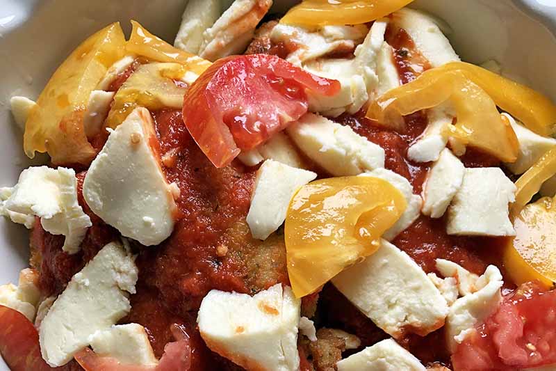 Closeup horizontal image of chicken cutlets topped with chunks of fresh mozzarella and pieces of red and yellow tomato.