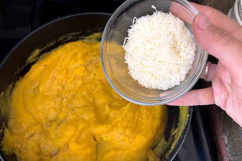Horizontal overhead image of a pan of pumpkin puree with a hand at the right of the frame holding a glass dish of grated cheese over the pan, about to dump it in.