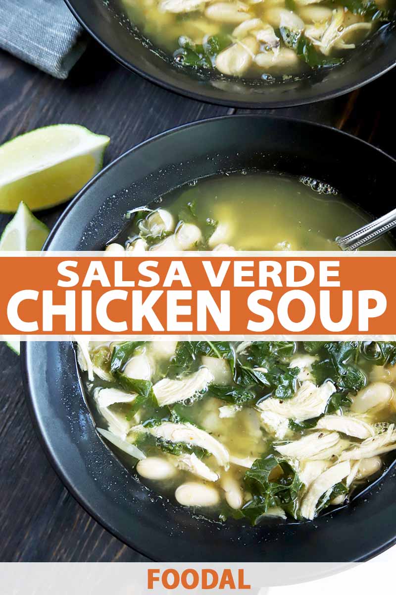 Vertical overhead image of two back ceramic bowls of chicken soup with salsa verde, cannellini beans, and kale, on a brown wood table with wedges of lime and a spoon, printed with orange and white text at the midpoint and bottom of the frame.