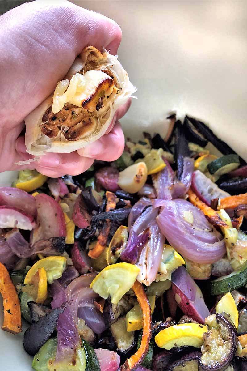 Vertical image of a hand squeezing the cloves out of a head of roasted garlic into a bowl of roasted vegetables below.