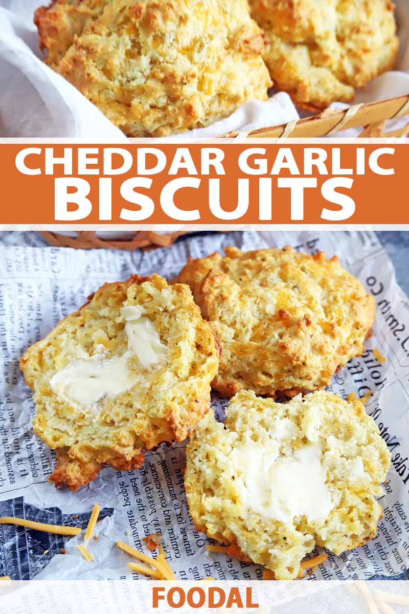 Vertical image of cheddar garlic biscuits in a basket and on a paper liner, with one in the foreground that is cut in half with butter spread on it, on a gray surface with scattered pieces of shredded cheese, printed with orange and white text in the top third and at the bottom of the frame.