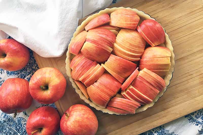 Horizontal image of slices of apples arranged in a cool pattern in a tart.