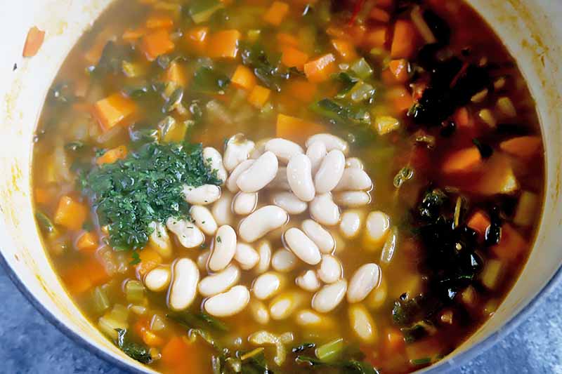 Horizontal image of stew with a pile of beans and fresh herbs on top.