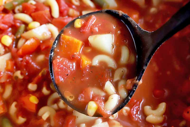 Horizontal image of a ladle with a red liquid, assorted vegetables, and macaroni.