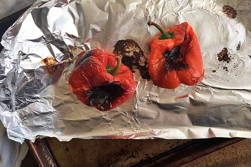 Horizontal image of two roasted red peppers on a baking sheet lined with foil.