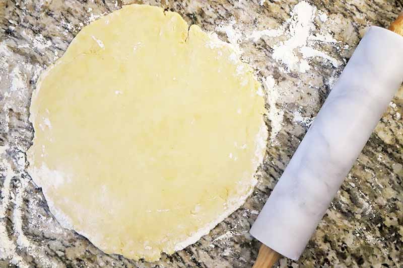 Overhead horizontal image of einkorn pizza dough rolled out into a circle on a lightly floured countertop, with a marble rolling pin to the right.