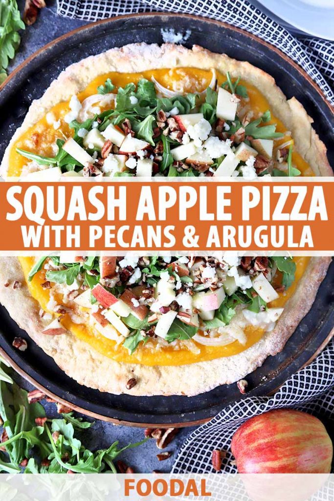 Vertical overhead image of a homemade pizza on a metal pan, topped with squash puree, chopped apples and nuts, fresh arugula, and crumbled cheese, on a gray background with a black and white checkered cloth, and scattered topping ingredients, printed with orange and white text at the midpoint and the bottom of the frame.