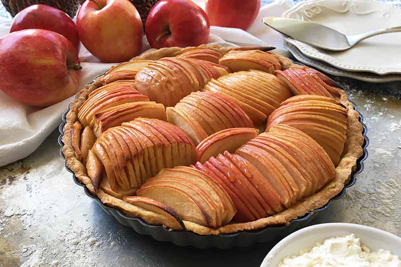 Horizontal image of a French apple tart in front of whole fruit.