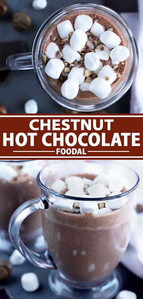 A collage of images showing different views of a chestnut hot chocolate drink.