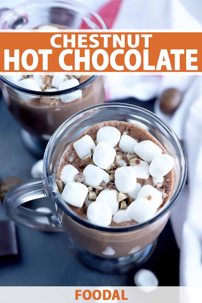 Oblique overhead vertical image of two clear glass mugs of chestnut hot chocolate topped with mini marshmallows, on a gray surface with scattered nuts, pieces of chocolate, and garnished, with a white cloth with a red stripe to the right, printed with orange and white text near the top and at the bottom of the frame.