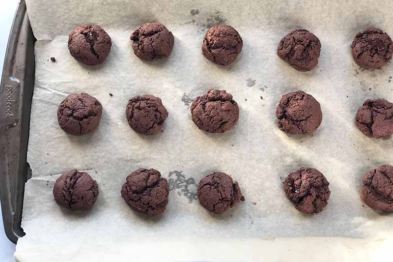 Horizontal overhead image of just-baked chocolate cookies with cracked surfaces on a rimmed baking sheet topped with parchment paper.