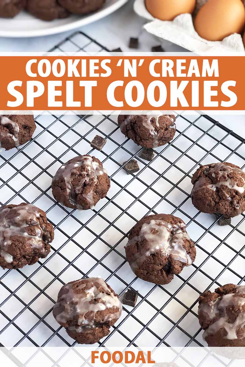 Vertical oblique overhead image of glazed chocolate cookies arranged in rows on a wire rack on a white surface, with a white plate of more of the baked goods and a carton of brown eggs, printed with orange and white text in the top third and at the bottom of the frame.