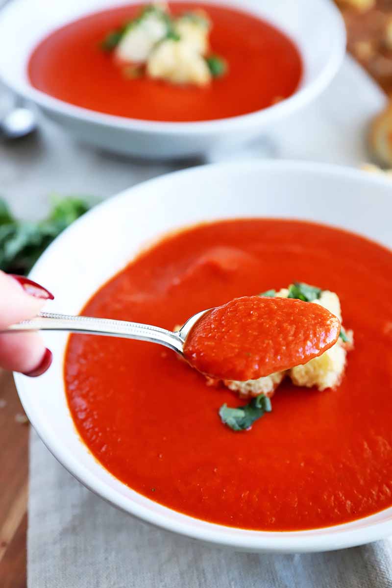 Vertical image of a manicured hand holding a spoon full of tomato soup, in front of two full bowls in the background, on a wood table topped with gray cloth placemats, with scattered fresh basil leaves.