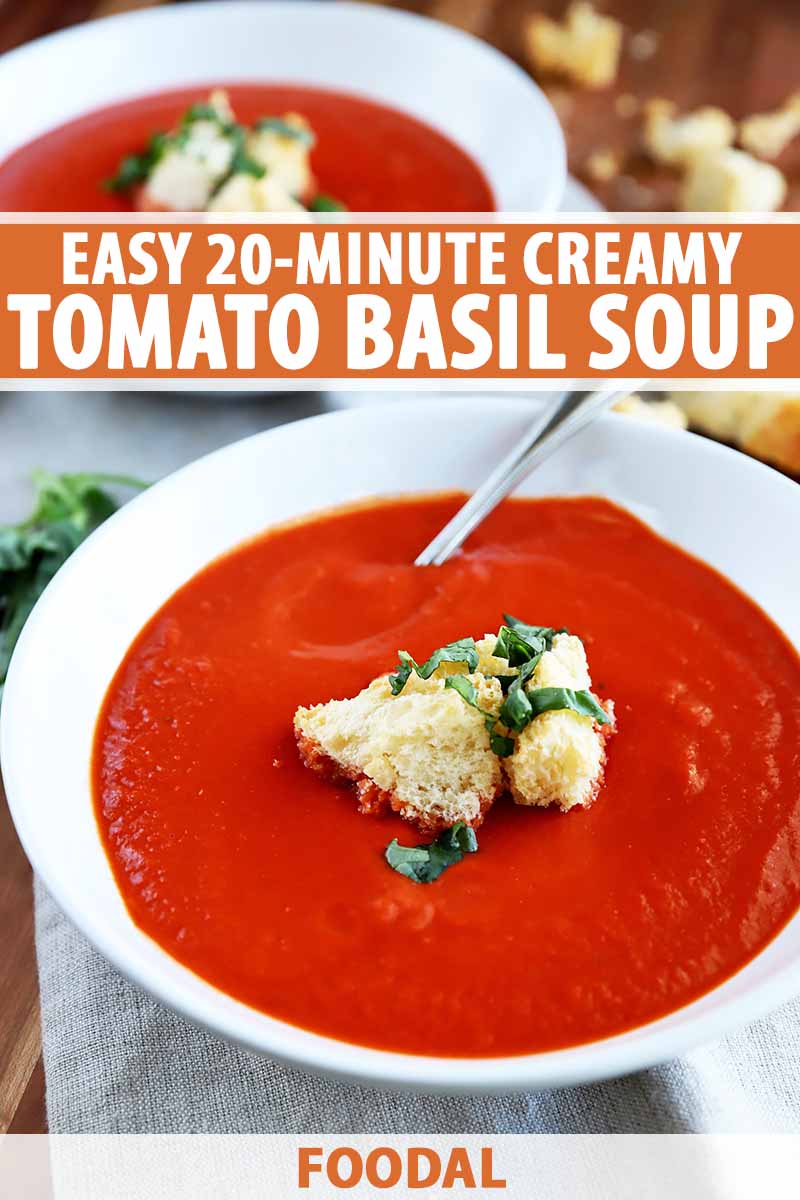 What to Have With Soup Instead of Bread Slimming World? 