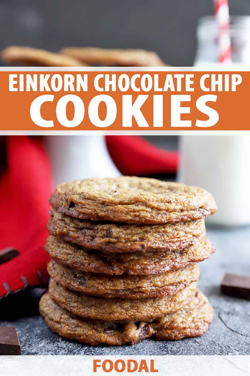 Vertical image of a tall stack of thin, dark cookies in front of a red towel and white cake stand.