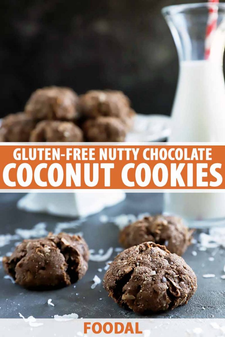 Nutty Chocolate Coconut Cookies Recipe (Gluten Free) | Foodal