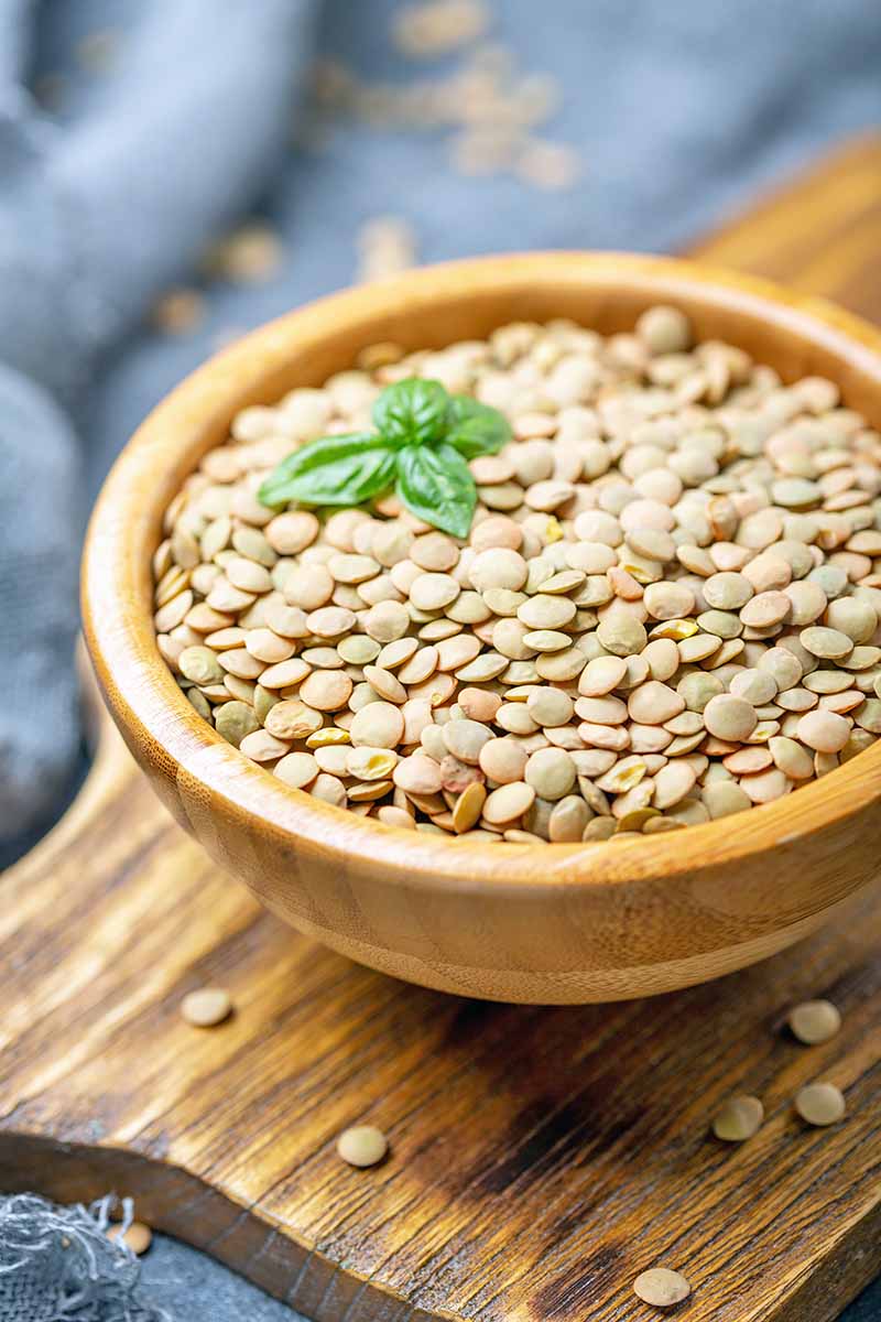 Vertical close-up image of a wooden bowl of tan lentils with herbs on a wooden cutting board with a gray towel in the background.