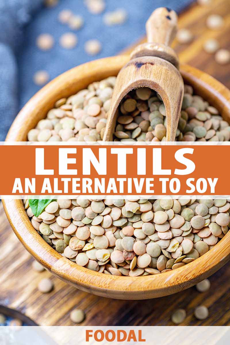 Vertical image of a bowl of dried tan lentils and a wooden scoop, with text in the middle and the bottom of the image.