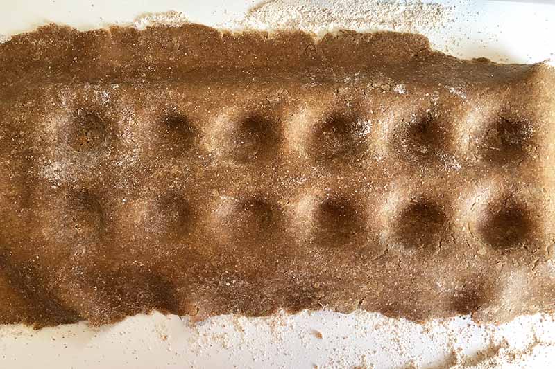 Horizontal image of an unfilled sheet of dark brown pasta with circular dents.