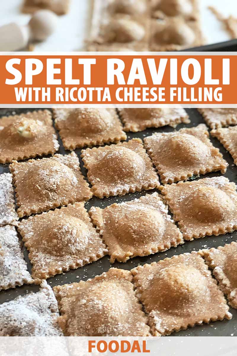 Vertical image of rows of stuffed dark brown pasta, with text on the top and bottom of the image.