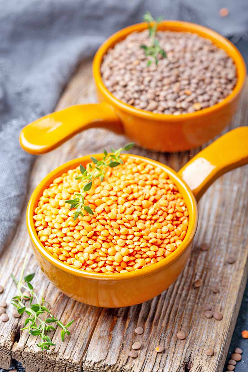 Vertical image of legumes in two orange measuring cups on a wooden board next to a gray towel.