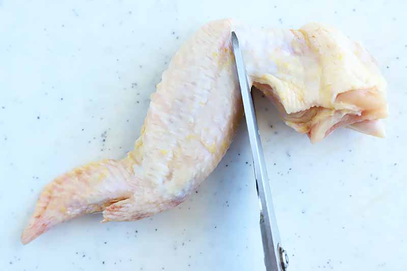 Horizontal image of kitchen shears breaking down a whole raw poultry wing.
