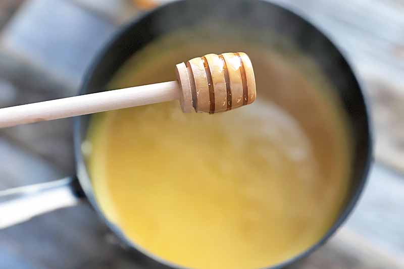 Horizontal image of a honey dipper over a pot of an orange liquid.