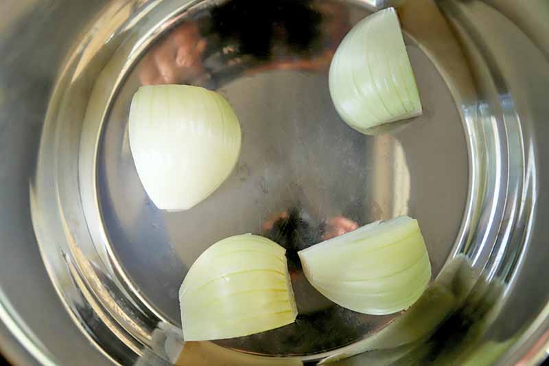 Horizontal overhead image of a peeled and quartered onion in the bottom of a metal slow cooker insert.
