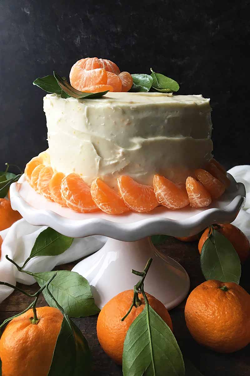 Vertical image of a whole cake covered in thick icing with orange garnishes on a cake stand.