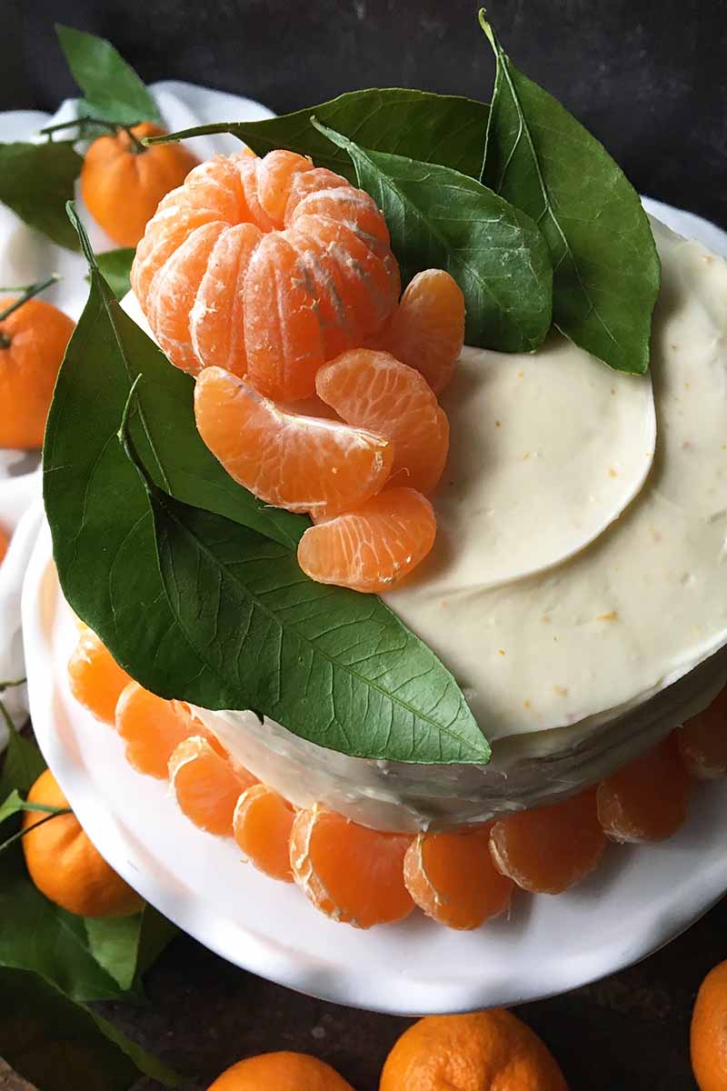 Vertical image of a decorated cake with white icing, orange segments, and green leaves on a cake stand.
