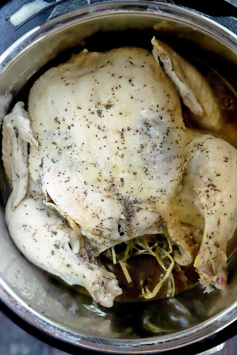 Vertical overhead image of cooked whole poultry in a slow cooker, stuffed with fresh herbs and sprinkled with salt and pepper.
