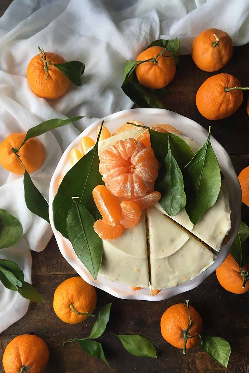 Vertical top-down image of a whole citrus cake with a slice cut out of it surrounded by whole citrus fruit and leaves.