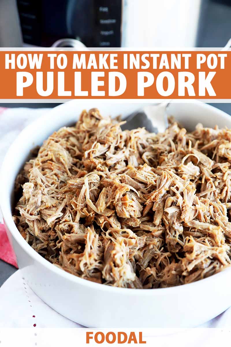 Vertical image of a bowl of plain pulled pork in front of a kitchen appliance, with text on the top and bottom of the image.