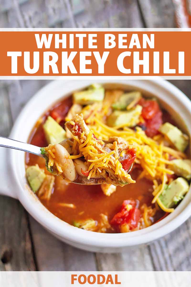 Vertical image of a spoonful of turkey chili garnished with shredded cheese over a white bowl with more chili and avocado cubes on a wooden surface, with orange and white text on the top and bottom of the image.