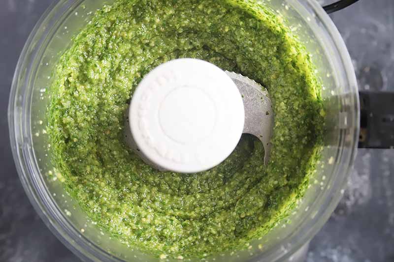 Horizontal image of a thick herb sauce in a food processor.