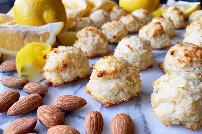 Horizontal image of rows of coconut desserts on a marble platter with whole nuts and lemons.