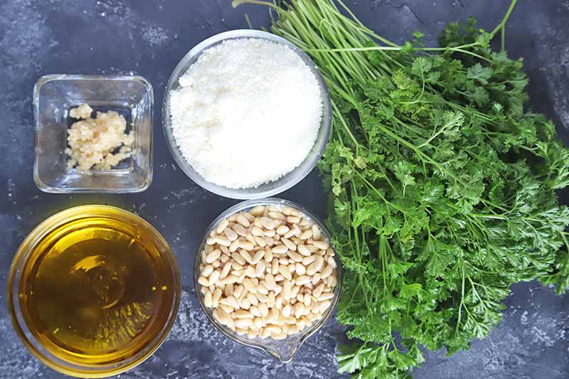 Horizontal image of whole parsley, pine nuts, cheese, garlic, and oil on a dark gray surface.