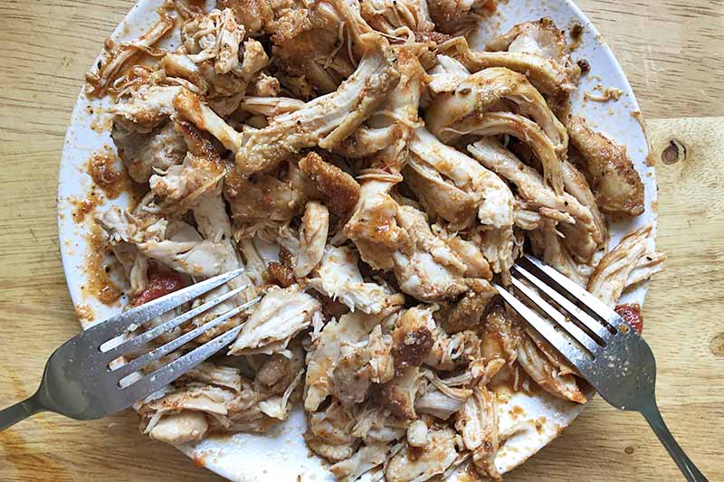 Horizontal image of shredding chicken on a white plate with two metal forks.