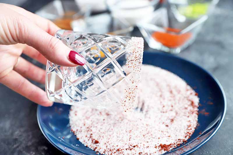 Horizontal image of a hand with red manicured nails dipping the rim of a glass into a shallow plate of flavored salt, with small dishes of various spices in soft focus in the background, on a gray surface.