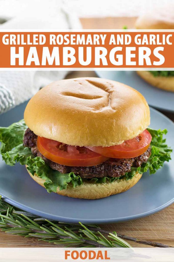 Vertical image of a hamburger with two tomato slices and lettuce on a blue plate, with text on the top and bottom of the image.
