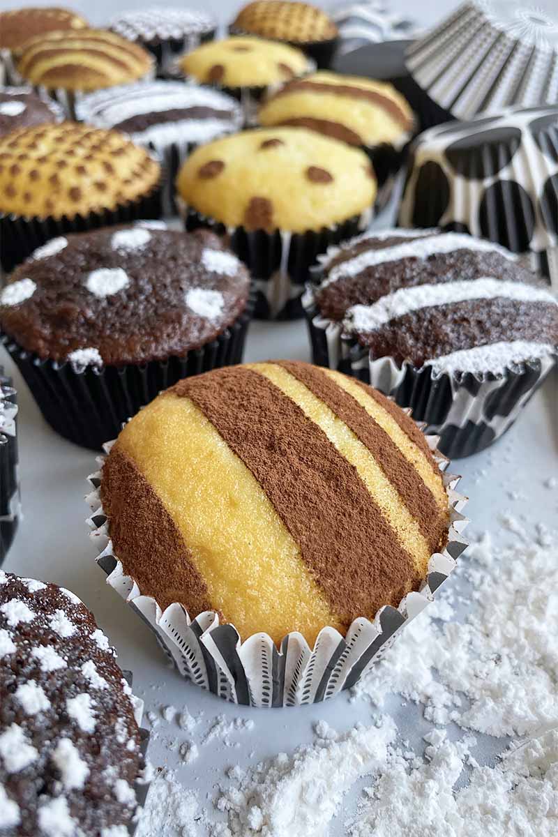 Vertical image of vanilla and chocolate cupcakes with assorted powdered sugar and cocoa powder decorations on a marble surface.