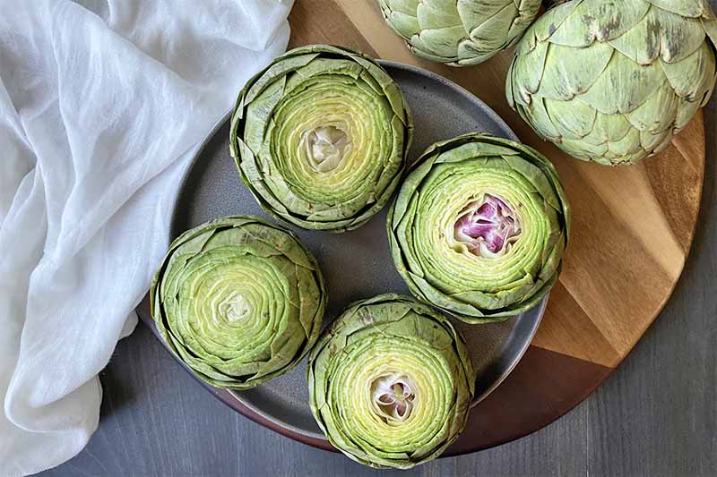 Horizontal image of four fresh artichokes with the top scut off on a gray plate on a wooden cutting board.