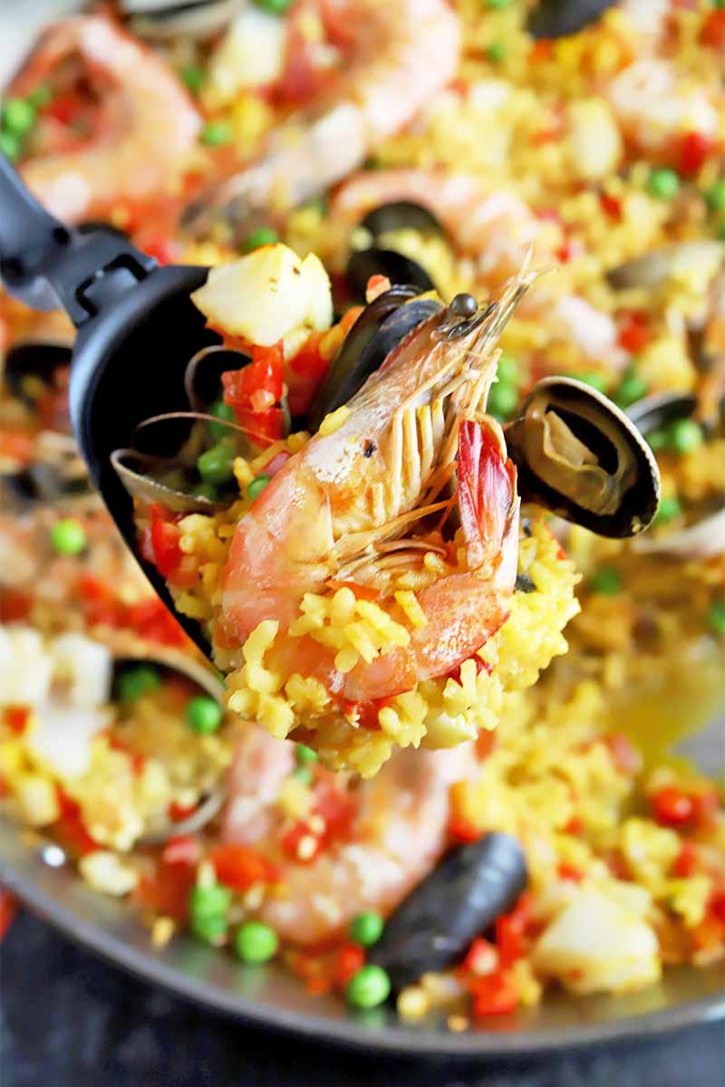 Vertical close-up image of paella with a spoon holding a whole shrimp.