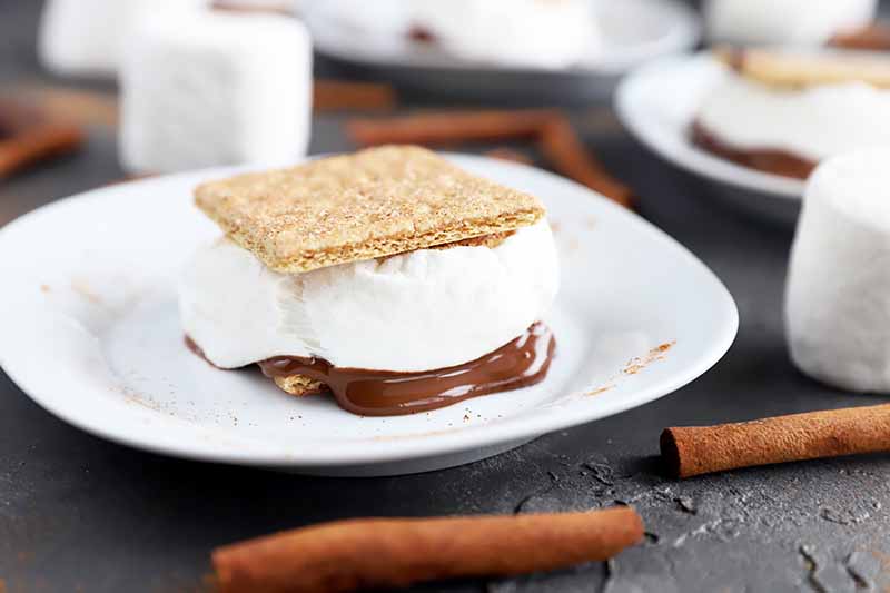 Horizontal image of one single s'more with fluffy marshmallow and melted chocolate on a white plate next to cinnamon sticks on a gray surface.